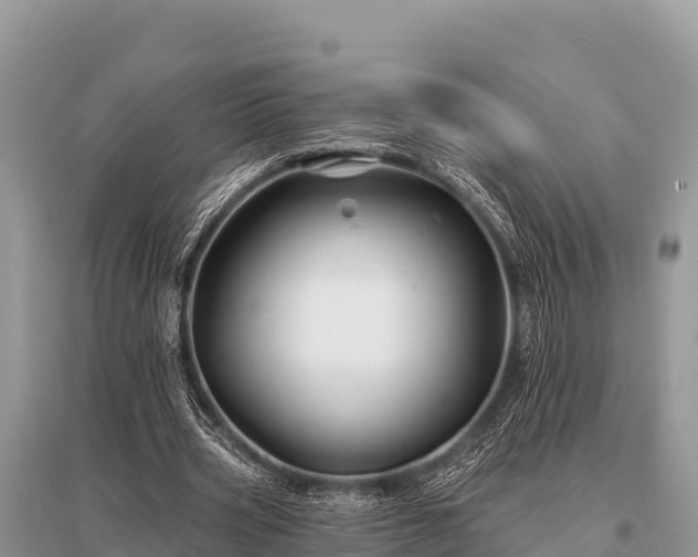 X0000096190533200801251242