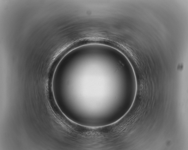 X0000096190535200801251242
