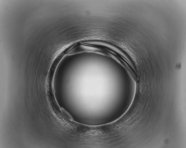 X0000096190536200801251242