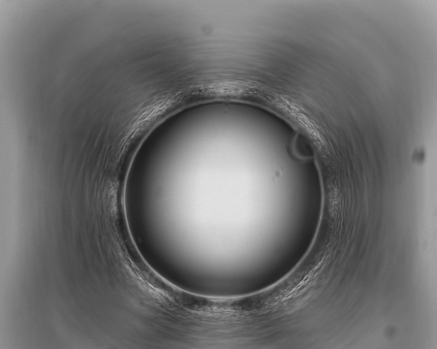 X0000096190537200801251242