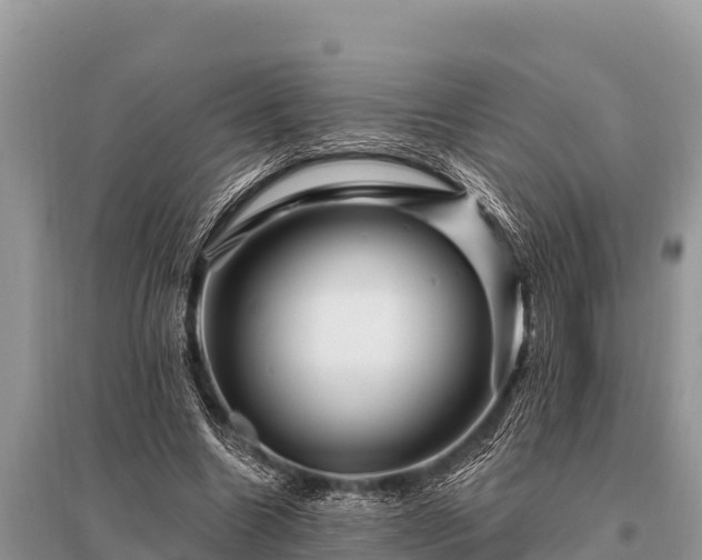 X0000096190538200801251242