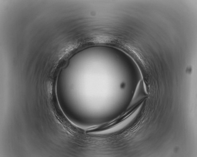 X0000096190539200801251242