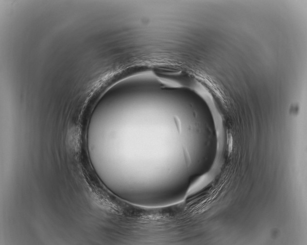 X0000096190540200801251242
