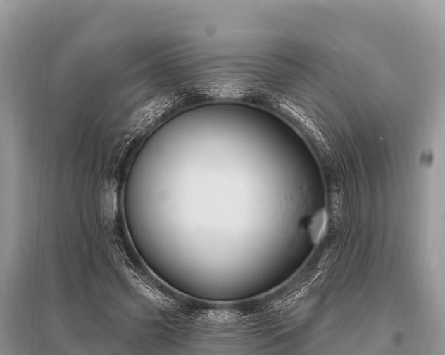 X0000096190541200801251242