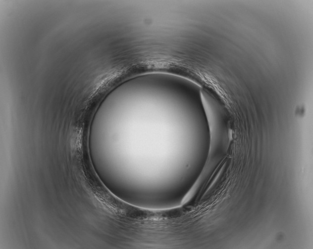 X0000096190543200801251243