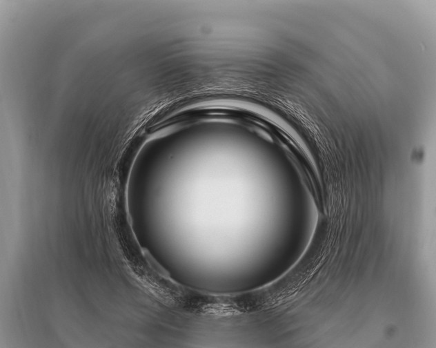 X0000096190544200801251243