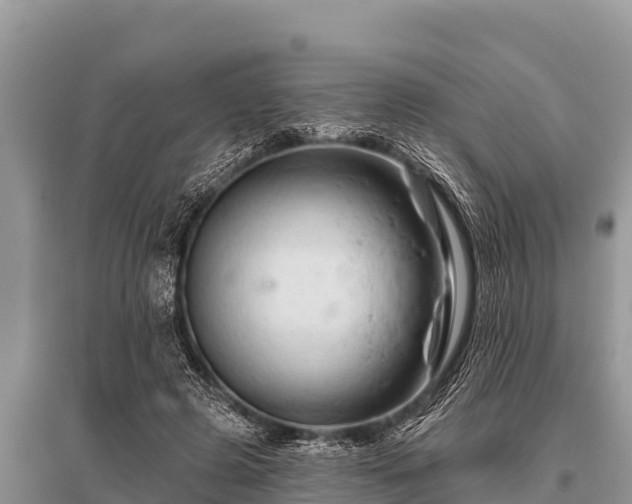 X0000096190545200801251243