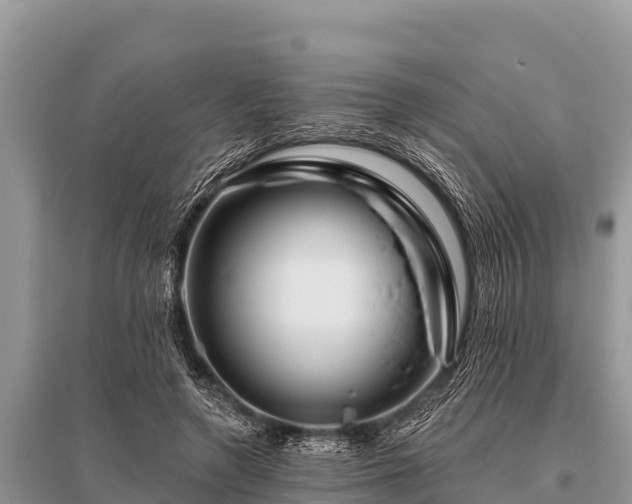 X0000096190546200801251243