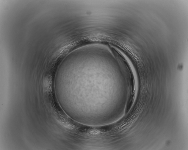 X0000096190547200801251243