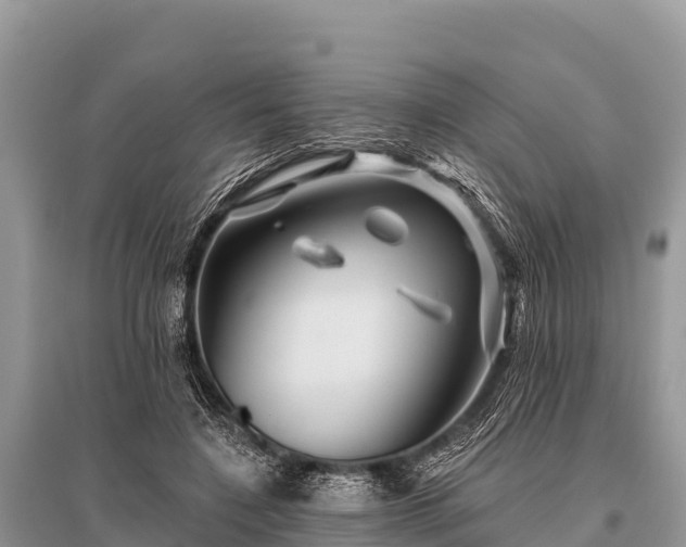 X0000096190548200801251243