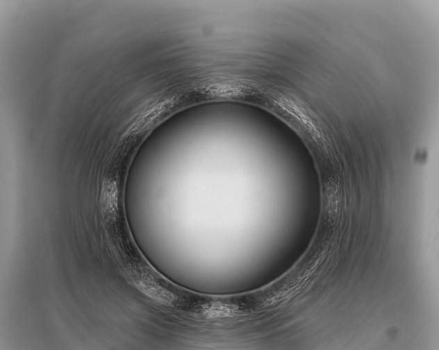 X0000096190549200801251243