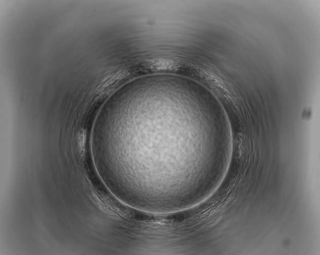 X0000096190550200801251243