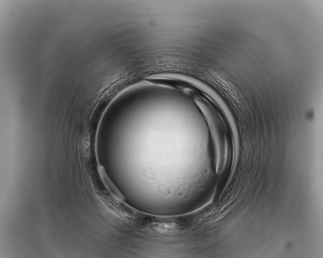 X0000096190552200801251243