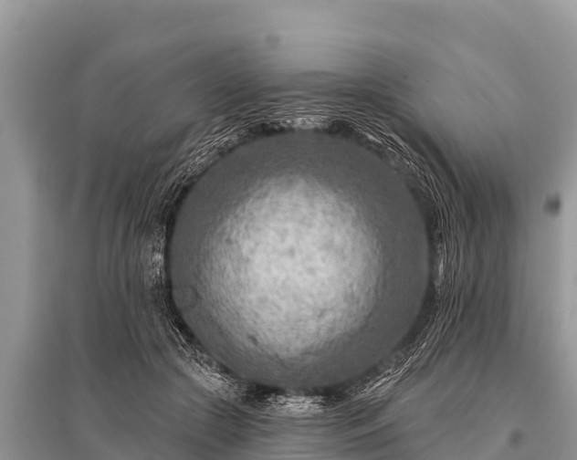 X0000096190553200801251243