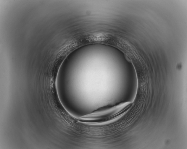 X0000096190555200801251243