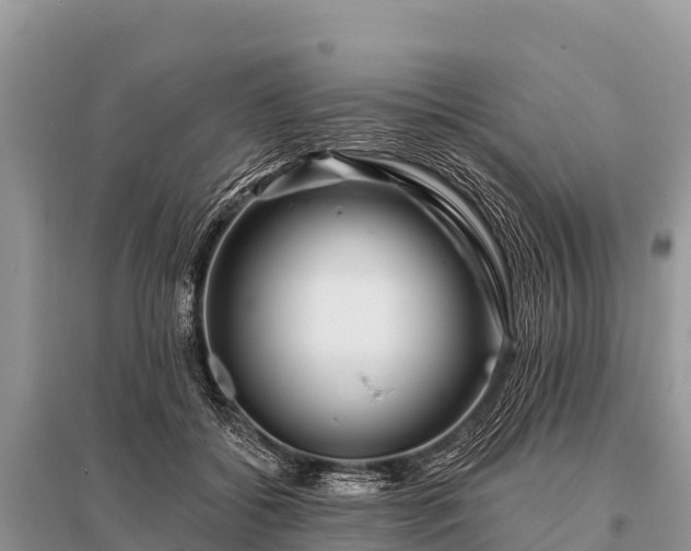 X0000096190556200801251243