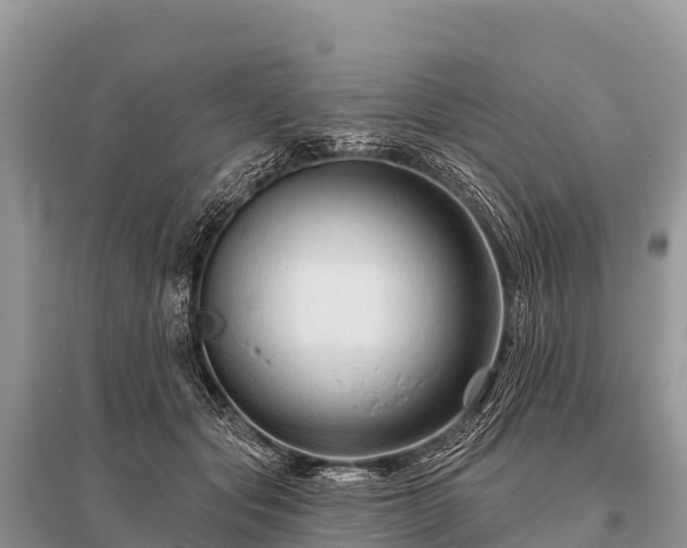 X0000096190557200801251243