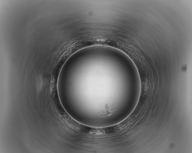 X0000096190559200801251243