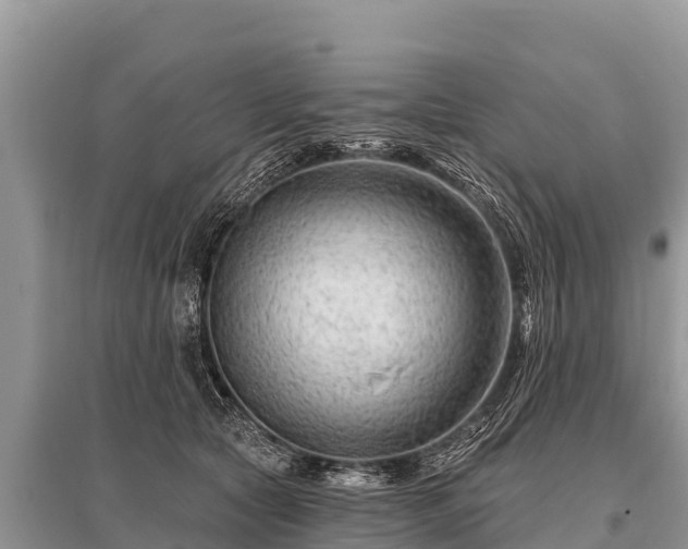 X0000096190561200801251243