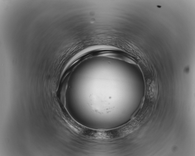 X0000096190562200801251243