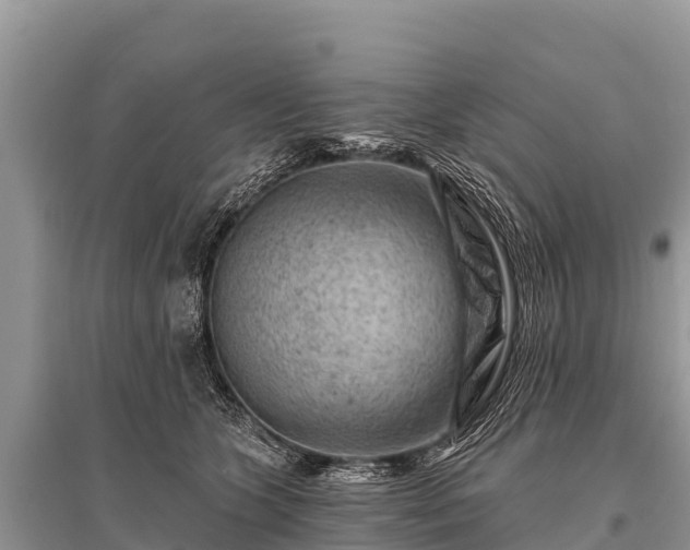 X0000096190563200801251243