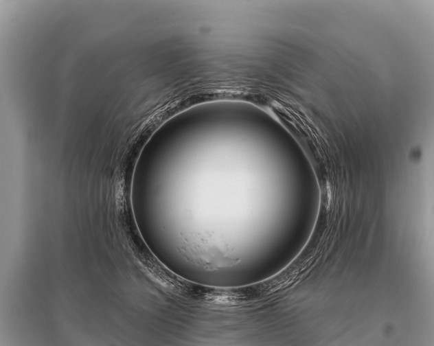 X0000096190564200801251243