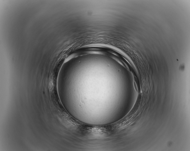 X0000096190566200801251243