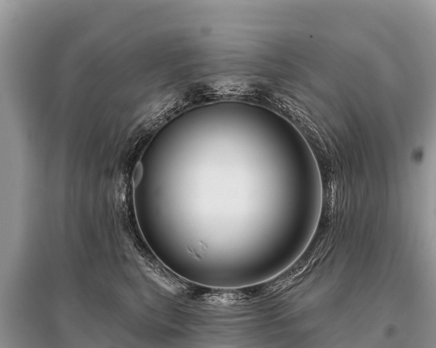 X0000096190567200801251243