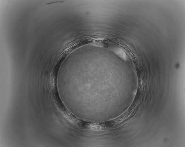 X0000096190568200801251243