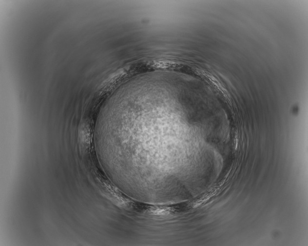 X0000096190569200801251243