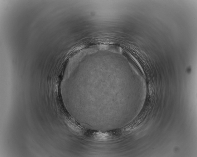 X0000096190570200801251243