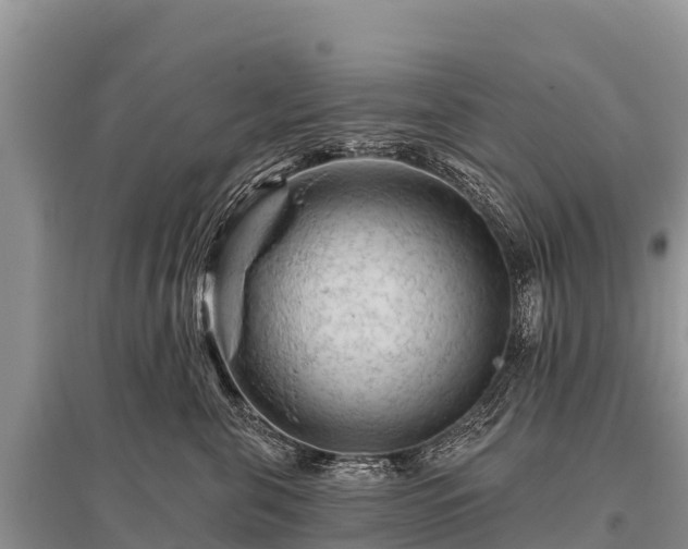 X0000096190571200801251243