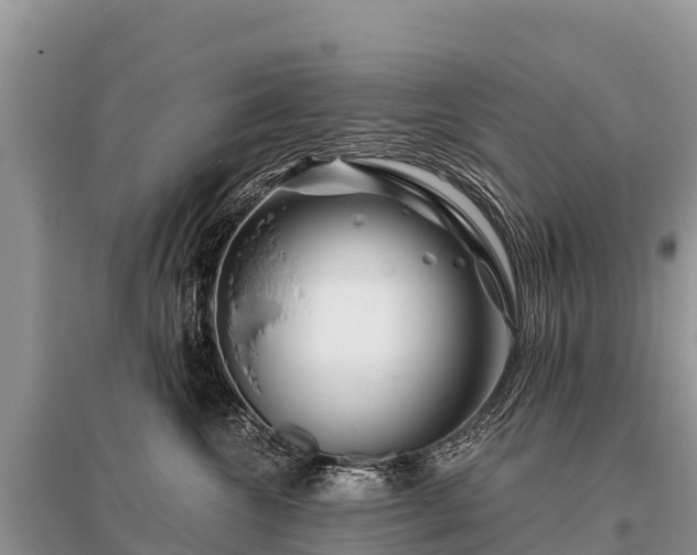 X0000096190572200801251243