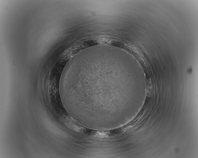 X0000096190573200801251243