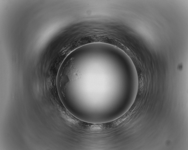 X0000096190574200801251243