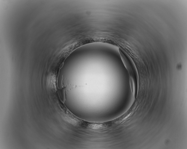 X0000096190575200801251243