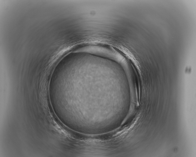X0000096190577200801251242
