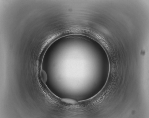 X0000096190578200801251242