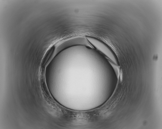 X0000096190579200801251242