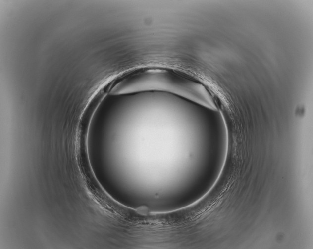 X0000096190580200801251242