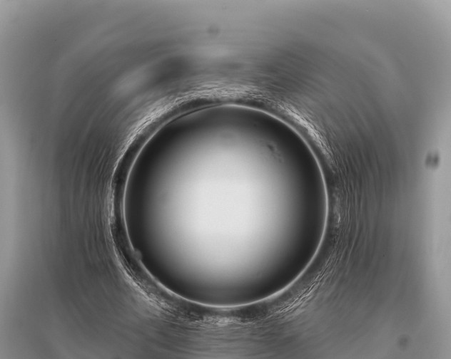 X0000096190582200801251242