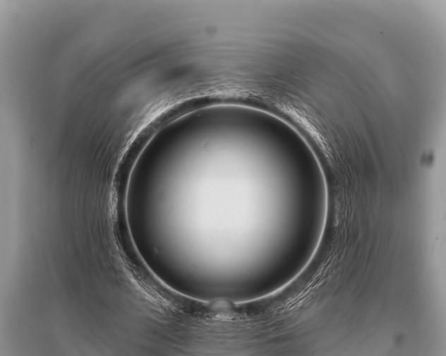 X0000096190584200801251242
