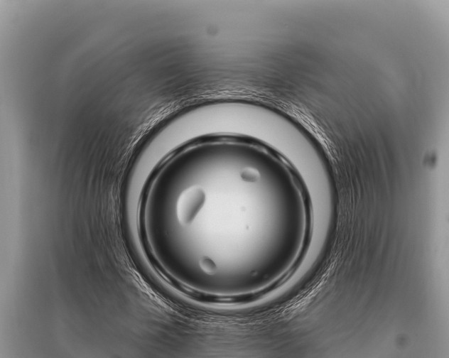 X0000096190585200801251242