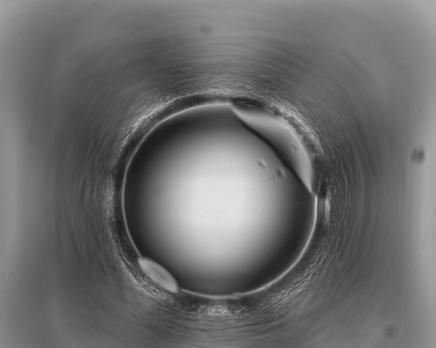 X0000096190588200801251242
