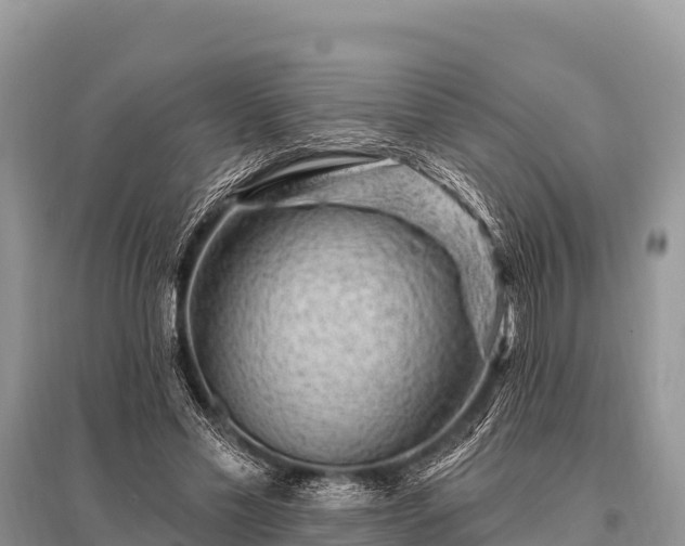 X0000096190589200801251242