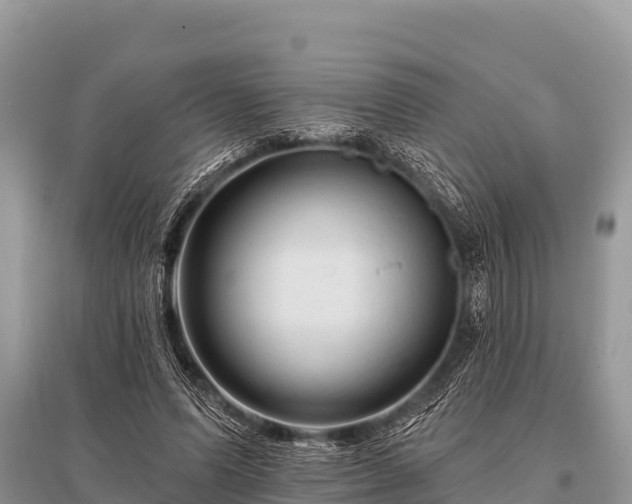 X0000096190591200801251242