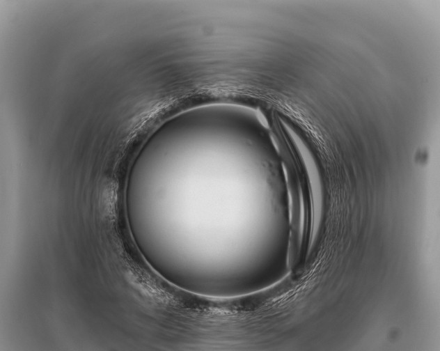 X0000096190592200801251242