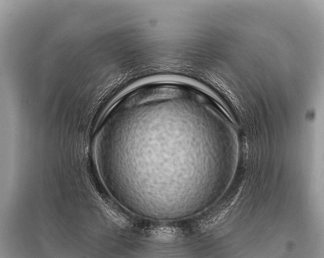 X0000096190593200801251242