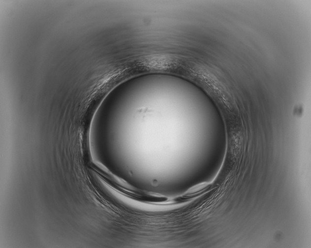 X0000096190596200801251242