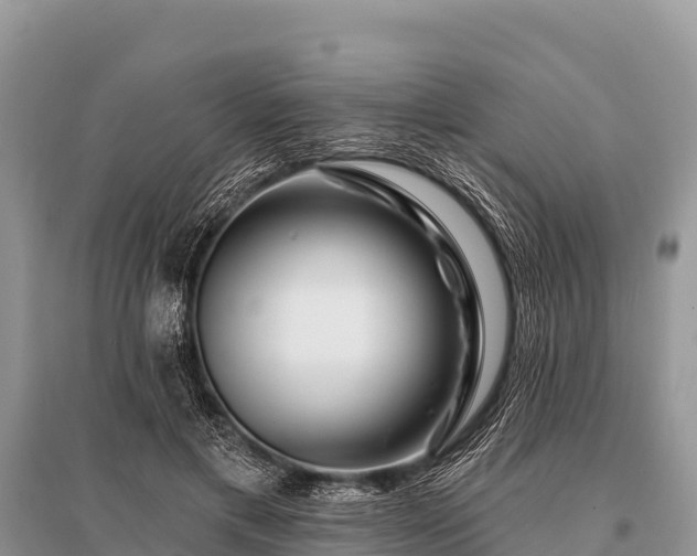 X0000096190597200801251242
